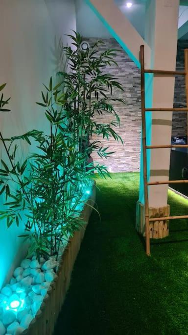 La Casa Cosy Love, Avec Jacuzzi Et Sauna Prives Palau-del-Vidre Buitenkant foto