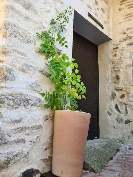La Casa Cosy Love, Avec Jacuzzi Et Sauna Prives Palau-del-Vidre Buitenkant foto